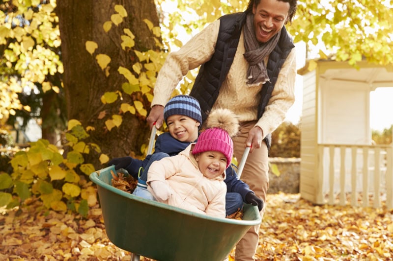 Fall Maintenance. Father In Autumn Garden Gives Children Ride In Wheelbarrow.