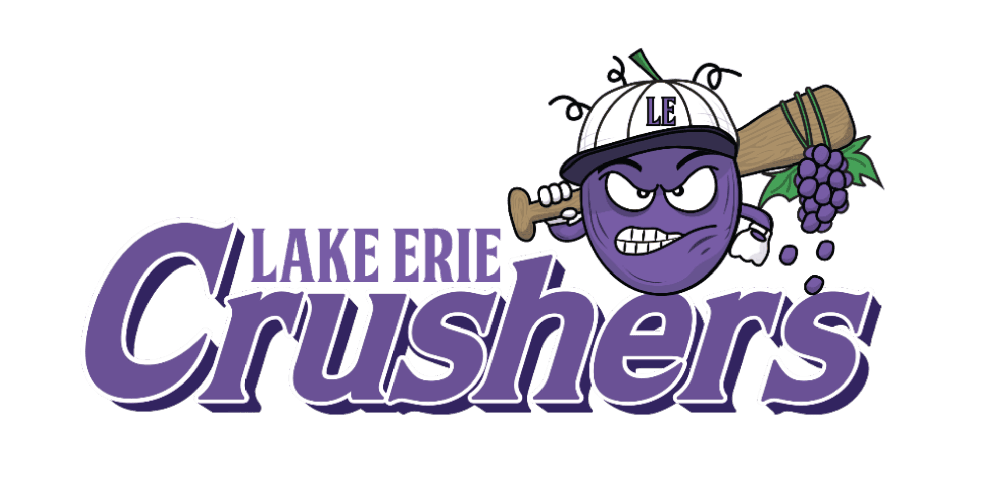 Primary Purple Logo
